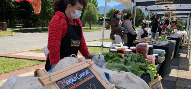 Mercados campesinos de Indap: ¿cómo ayudan a la agricultura familiar campesina?