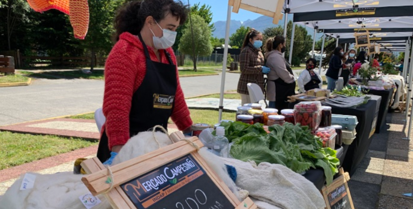 Mercados campesinos de Indap: ¿cómo ayudan a la agricultura familiar campesina?