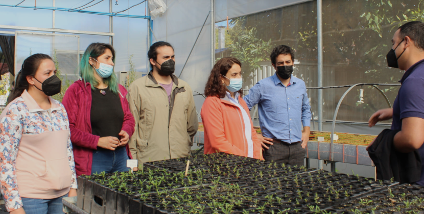 INIA celebrará sus 60 años de existencia con interesante muestra en la Plaza de Quillota