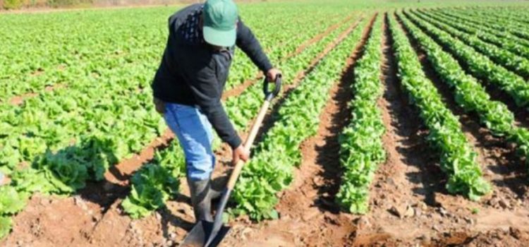 Director Regional de Indap abordó diversos temas de la actualidad campesina