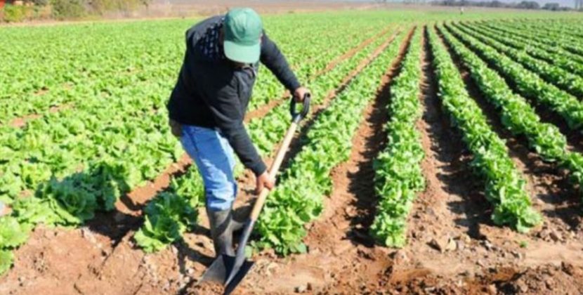 Director Regional de Indap abordó diversos temas de la actualidad campesina