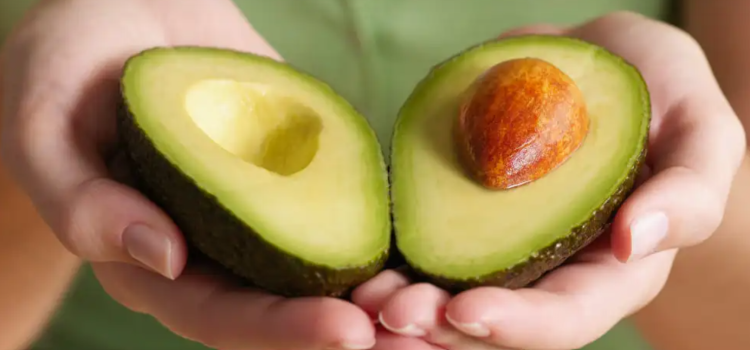 El Día de la Palta vuelve a Chile con el Global Avocado Summit 2024