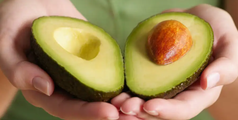 El Día de la Palta vuelve a Chile con el Global Avocado Summit 2024