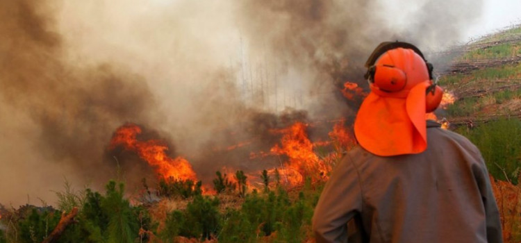 Quillota refuerza estrategias de prevención ante incendios forestales