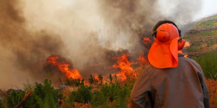 Quillota refuerza estrategias de prevención ante incendios forestales