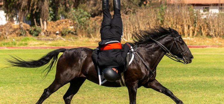 Espectacular muestra de acrobacias sobre caballos en Quillota