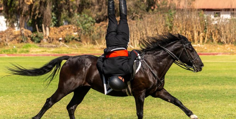 Espectacular muestra de acrobacias sobre caballos en Quillota