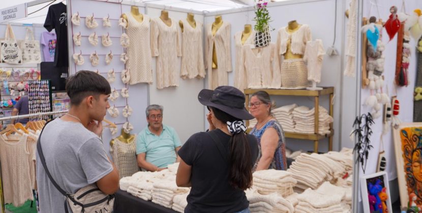 Récord de público en Expo Quillota 2025 y positivo balance de emprendedores