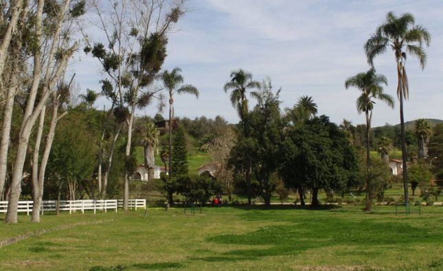 Parque El Edén de Quillota abrirá sus puertas el 1 de enero de 2026