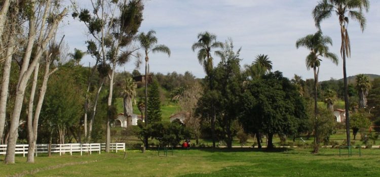 Parque El Edén de Quillota abrirá sus puertas el 1 de enero de 2026