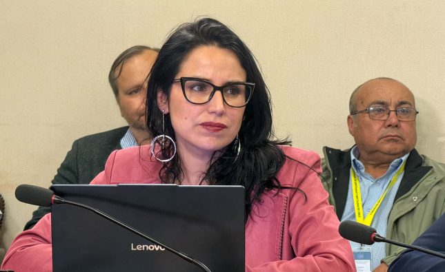 Diputada Sofía González anuncia acciones contra ministro Rabat y destaca avances para las personas mayores