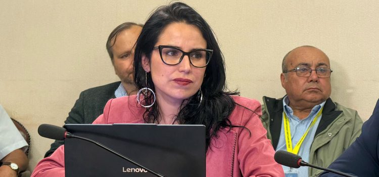 Diputada Sofía González anuncia acciones contra ministro Rabat y destaca avances para las personas mayores