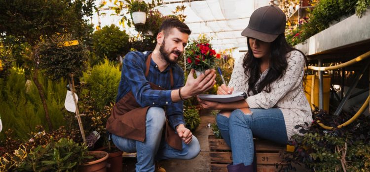 Expo Plantarium 2026 llega a Quillota con una propuesta ampliada