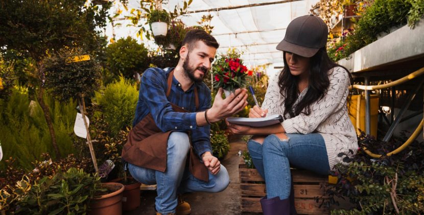 Expo Plantarium 2026 llega a Quillota con una propuesta ampliada