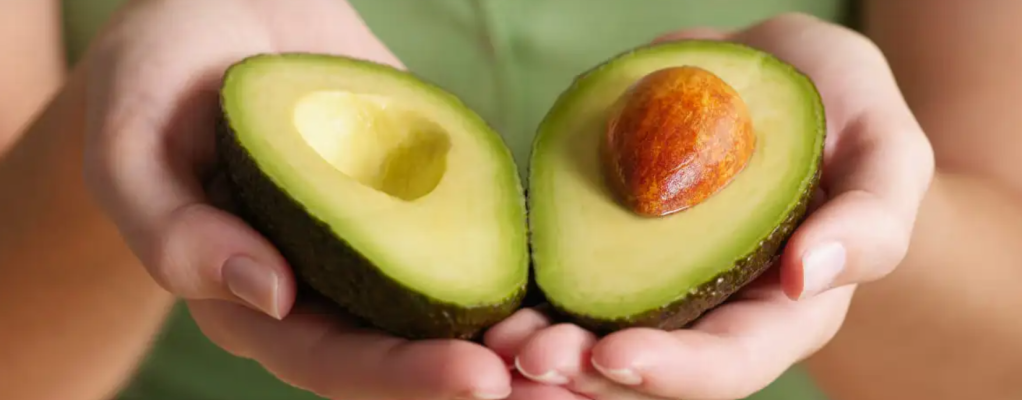 El Día de la Palta vuelve a Chile con el Global Avocado Summit 2024