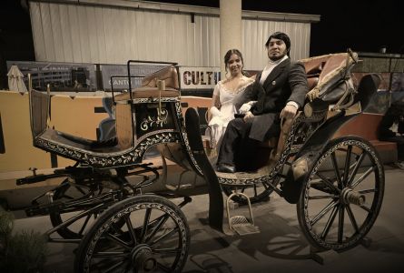 Masiva convocatoria marcó evento inspirado en “Orgullo y Prejuicio” en Quillota